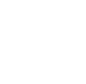 HAI Group
